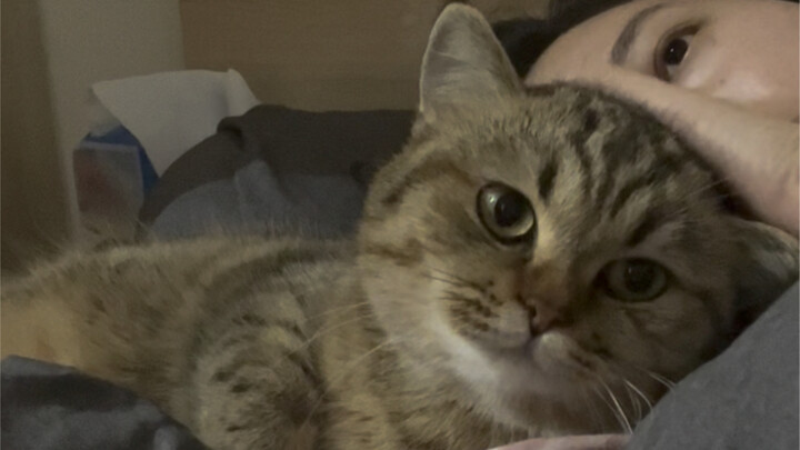 A real mom’s a real mom—she’s the real one, I’m just the foster mom.