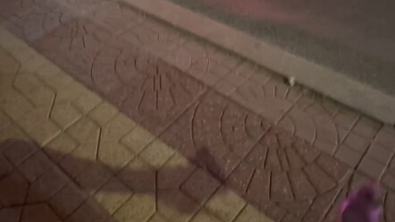 จุดเด่นที่แท้จริง