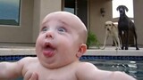 เด็กน่ารักเล่นกับน้ำ โฮมวิดีโอที่สนุกที่สุด พยายามอย่าหัวเราะ ท้าทาย
