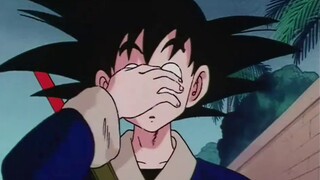 The person Bulma trusts the most has always been Goku!