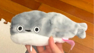 ตื่นมาสะดุ้งเลย ตะพาบซากาแบนมันฟื้นคืนชีพแล้ว!