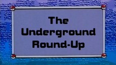 Pokémon: Adventures in the Orange Islands Ep34 (The Underground Round-Up)[Full Episode]