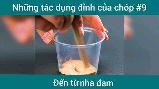 Những tác dụng đỉnh của nha đam p9