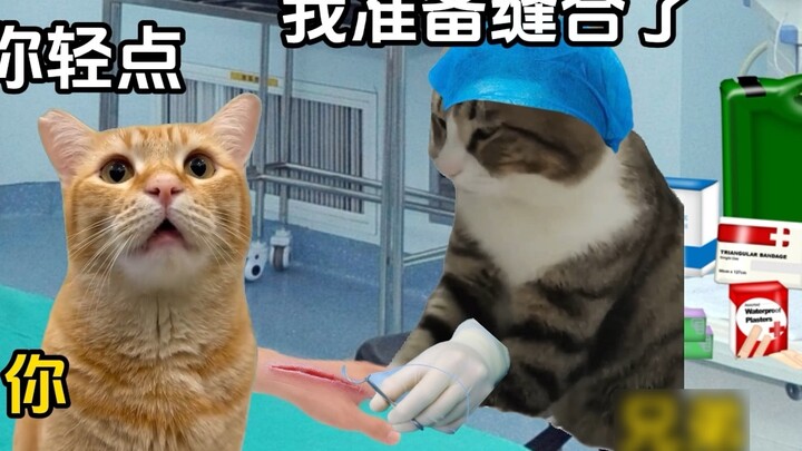 When your brother becomes a doctor #CatmemeSmall Theater #Brothers #The content is too real #Post-00