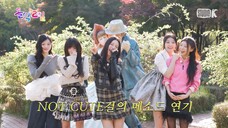 [ID SUB] EP.53-1 ILLIT | The long-awaited team dinner day after 1 year | Idol 1N2D