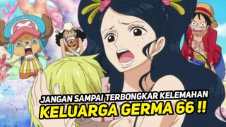 INI DIA KELEMAHAN KELUARGA Sanji !!? - One piece terbaru