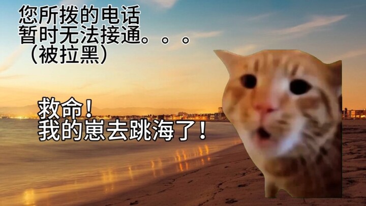 【Meme kucing】Le setelah bertengkar, pacarnya mengira aku pergi terjun ke laut