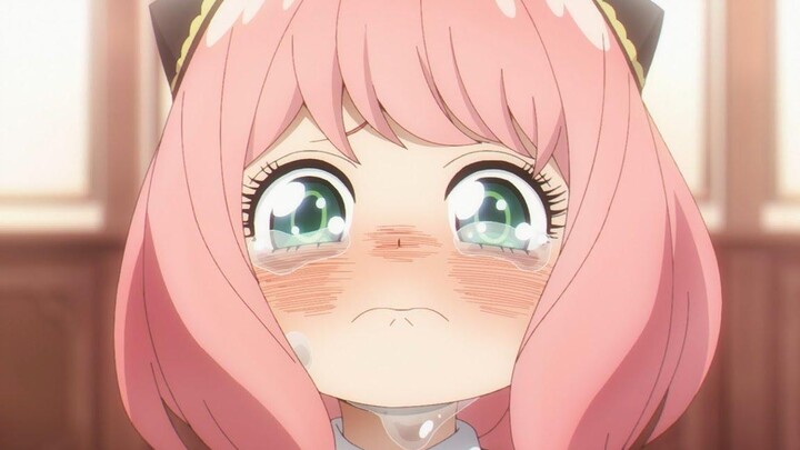 Spy x Family「AMV」 - อยู่ ᴴᴰ