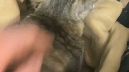 อย่าดูถูก “คุณแม่” ของสิ่งมีชีวิตทุกชนิด