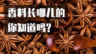 Ngày nào cũng ăn, nhưng bạn có biết chúng mọc ở đâu không?