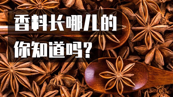 กินทุกวัน แต่คุณรู้หรือเปล่าว่ามันเติบโตอยู่ที่ไหน?