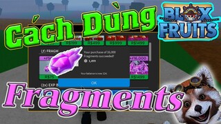 CHỒN RICH KID Tiêu 1500 ROBUX Để Hướng Dẫn Sử Dụng Tiền FRAGMENTS Trong BLOXFRUITS UPDATE 11