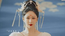 小夭大王姬身份昭告天下,护花四使者全部看呆