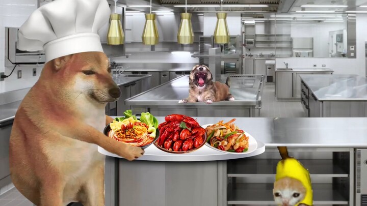 Kitty Treats Feline and Canine Friends to a Feast
