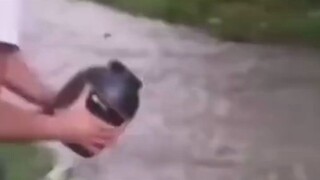 อาหารกระป๋องลึกลับ