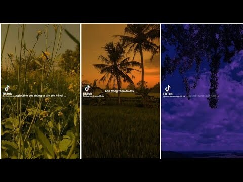 #53 Nhạc Chill Tik Tok: Tổng hợp các bài chill Tik Tok cực hay, nghe là nghiện | Hạ Chill