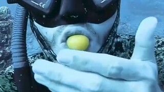 What's it like to suck an egg in your mouth at the bottom of the ocean? The picture is so smooth!