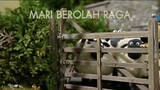 Shaun the sheep S1 Eps7 - mari berolahraga