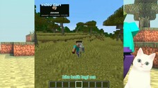 Minecraft tapi tutorial ngeledakin PC kalian