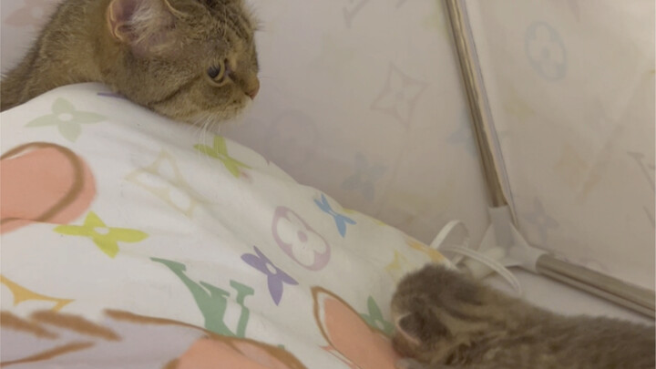 There's still a tiny bit of maternal love in me.