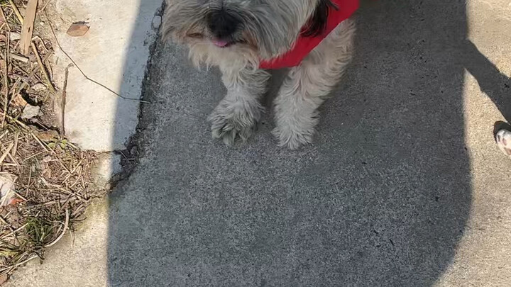 ทันทีที่คุณยอมรับการตั้งค่าบางอย่าง คุณจะรู้สึกสบายขึ้นเยอะเลย