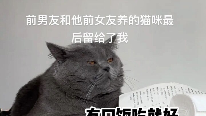 This is basically like Liu Xing handing over Xia Donghai to his stepmother—life’s not going to be ea