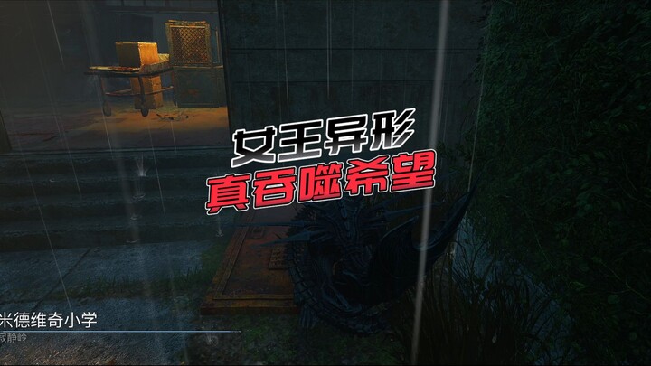 【مئويات الأرجل】 شكل غريب، هذه المرة هي حقًا تبتلع الأمل!