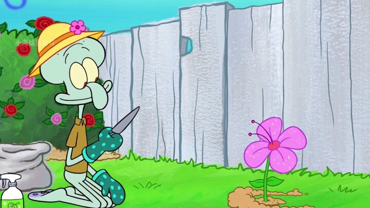 The Only Tree in the Underwater World