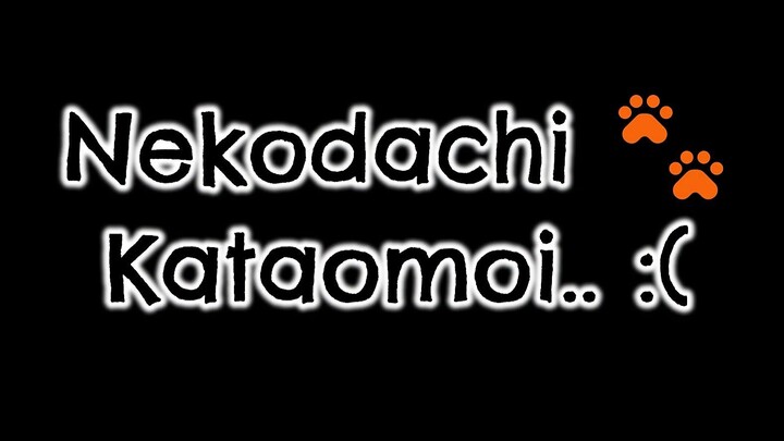 [V-kun Cam] Nekodachi (𝗡𝗘𝗞𝗢𝗣𝗔𝗥7𝗬 : 7 𝗧𝗔𝗜𝗟𝗦 𝗢𝗙 𝗧𝗜𝗠𝗘) - Kataomoi (Unrequited Love)