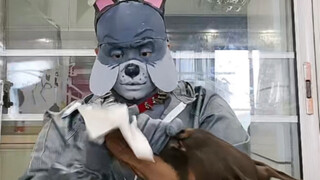 [Spike cos] Super long dog fight + live cross-dressing replay