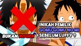 Bukan ROGER ! Inikah Pemakan Buah Iblis Gomu Gomu No Mi Sebelum LUFFY ? | Anime Zoan
