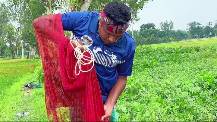 Traditional Net Fishing Video -- Best Net Fishing By Fisherman