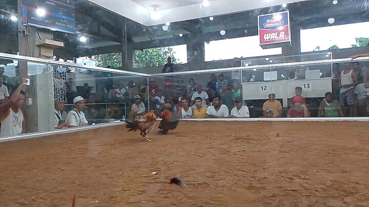 win first fight 100k parada entry name gasoy gf