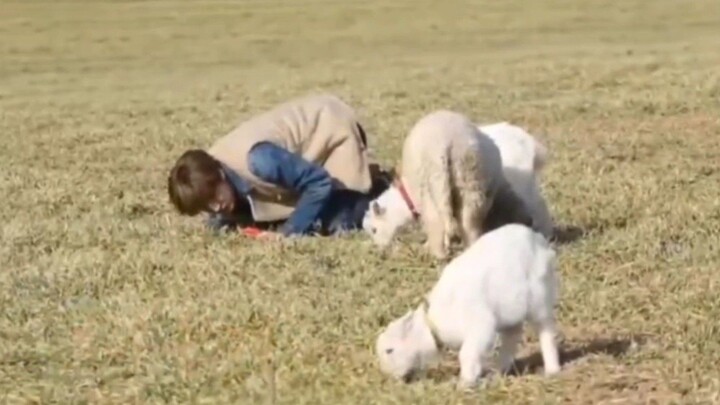 [CN] 150329 OK! Raηcɦ Ep.10 END
