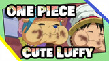 ONE,PIECE|[Healing]Please,check,your,cute,Luffy,who,is,the,little,Snake