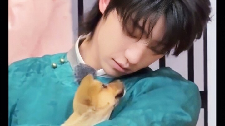 Xu Minghao đúng là được các bạn thú cưng yêu mến quá đi, cả bê con lẫn cún con đều thích rúc rúc với
