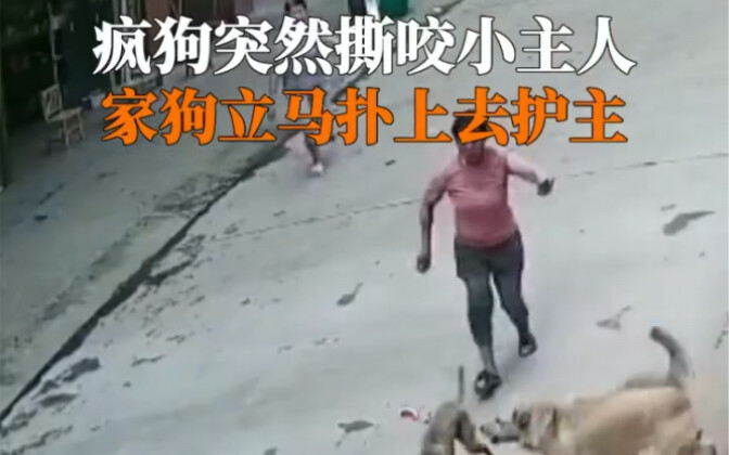 Anjing memang benar-benar anggota keluarga!