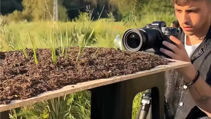 “You really can’t scroll past this without an artistic streak.”