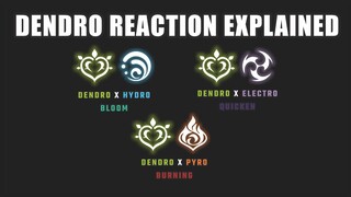 Dendro Reactions Explained and Traveler Dendro Burst