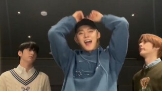 没被选择会疯掉的小猪 被选择了以后也会疯掉的小猪😂🤣三个视频连在一起看是什么连续剧吗 xs