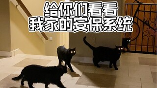 نظام الأمن في منزلي