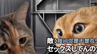 【熟/猫meme】在搬家公司打工一天就辞职的牛马故事