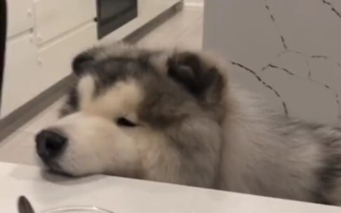 How can you expect your little one to be perfect in every way?