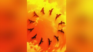 Bắt đầu lại từ con số 0 ở thế giới Chú Thuật Sư :v rezero jujutsukaisen xuhuong