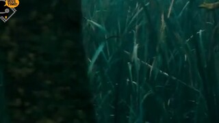 Phim Hổ Răng Kiếm Thời Tiền Sử Báo Ơn Chàng Trai Cứu Mạng 5 #reviewphim