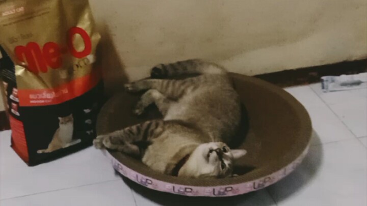 น่ารักไหมคะ
