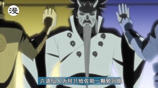 六道仙人为何只给佐助一颗轮回眼？