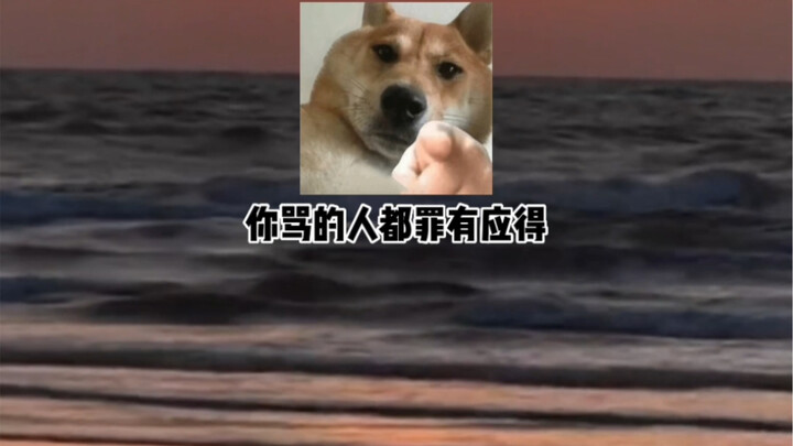 发给你心情不好的朋友听哈哈哈哈哈