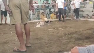 #jmrapado #oragon #bicol #ligao