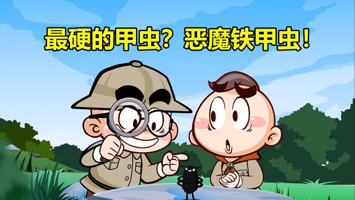 【唐唐】涨知识！昆虫中的“硬汉”恶魔铁甲虫